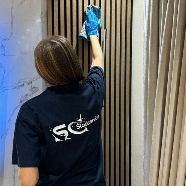 Låt oss ta hand om storstädningen i Göteborg